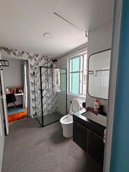 Eastwood Park (D16), Terrace #637334961